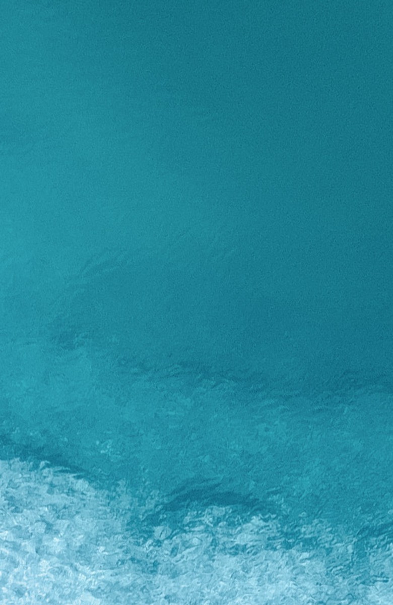 05_Header_private_equity.jpg