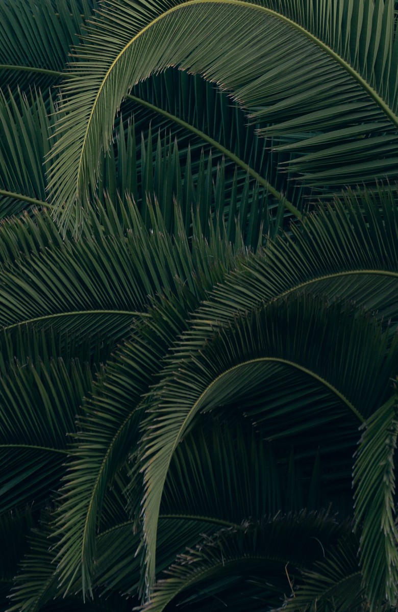LGTC HEADER - ESG finance discl