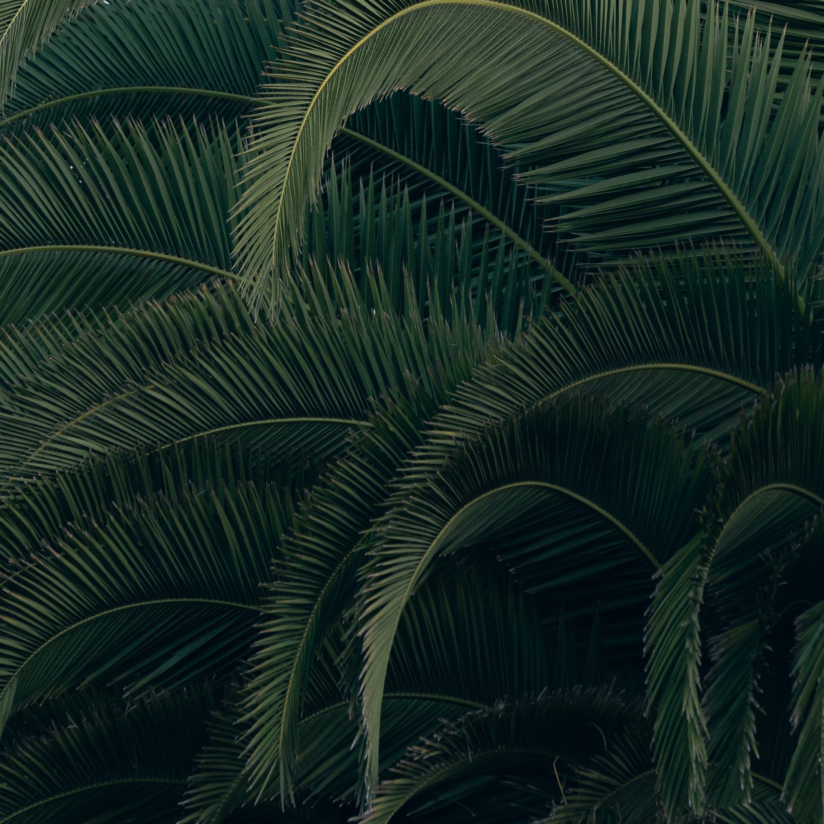 LGTC HEADER - ESG finance discl