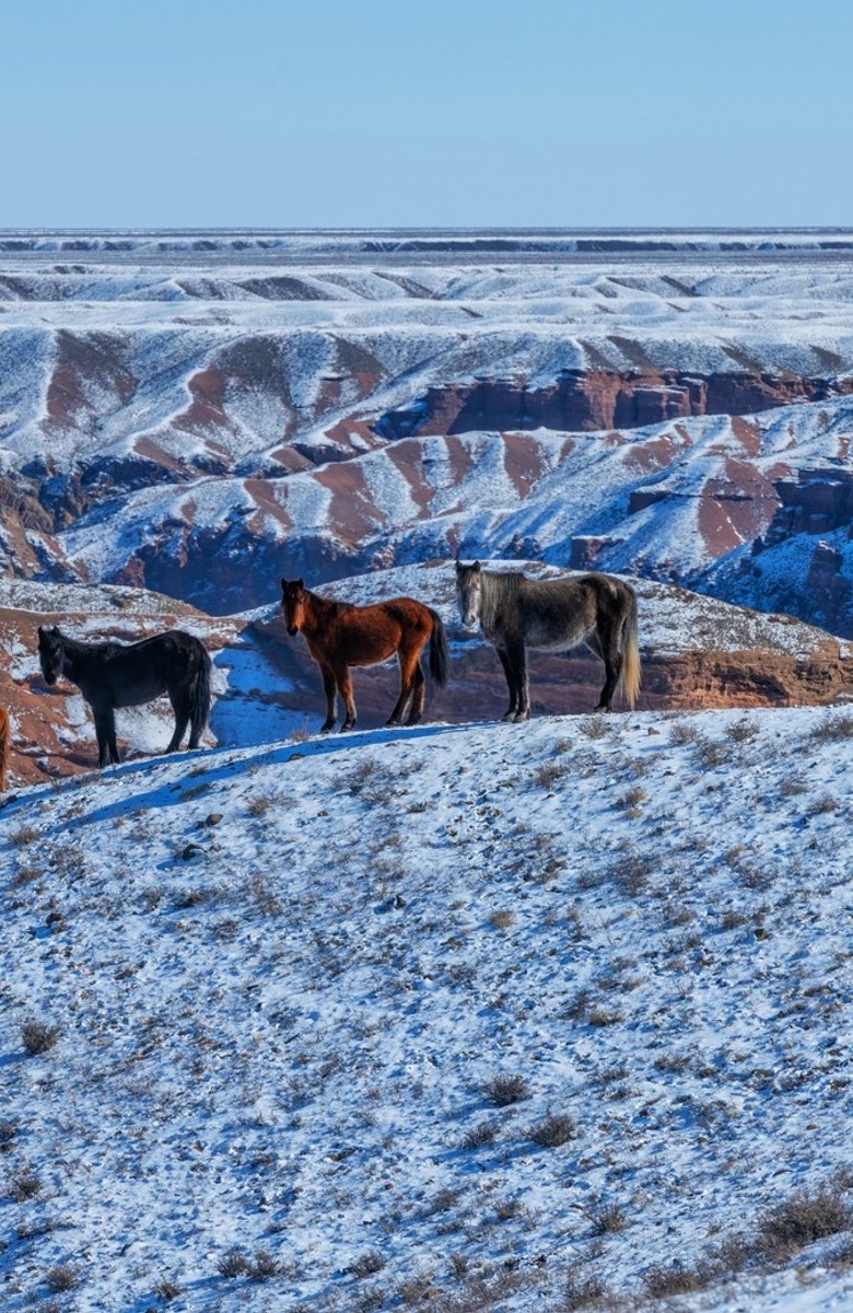 research_trip_to_kazakhstan