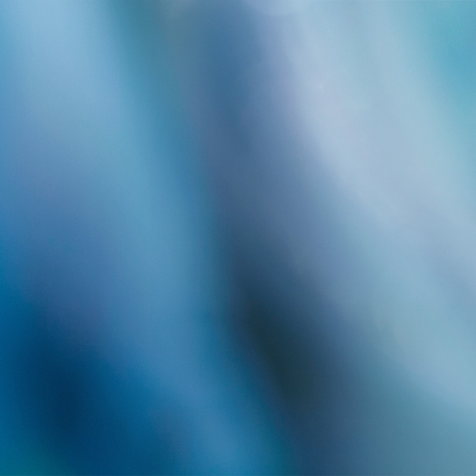 15_Header_stustainable_and_impact_strategies.jpg 