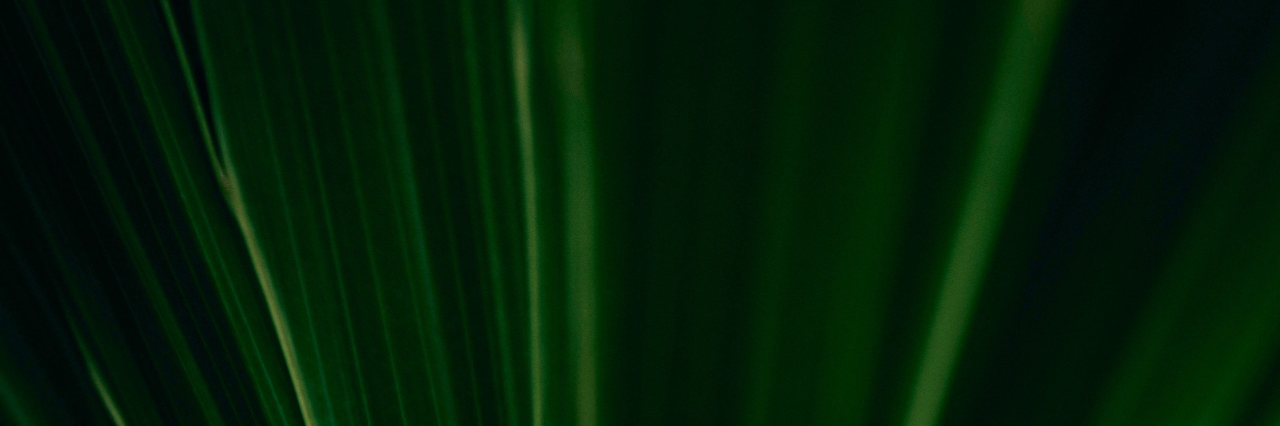 29_Header_corporate_social_responibility.jpg