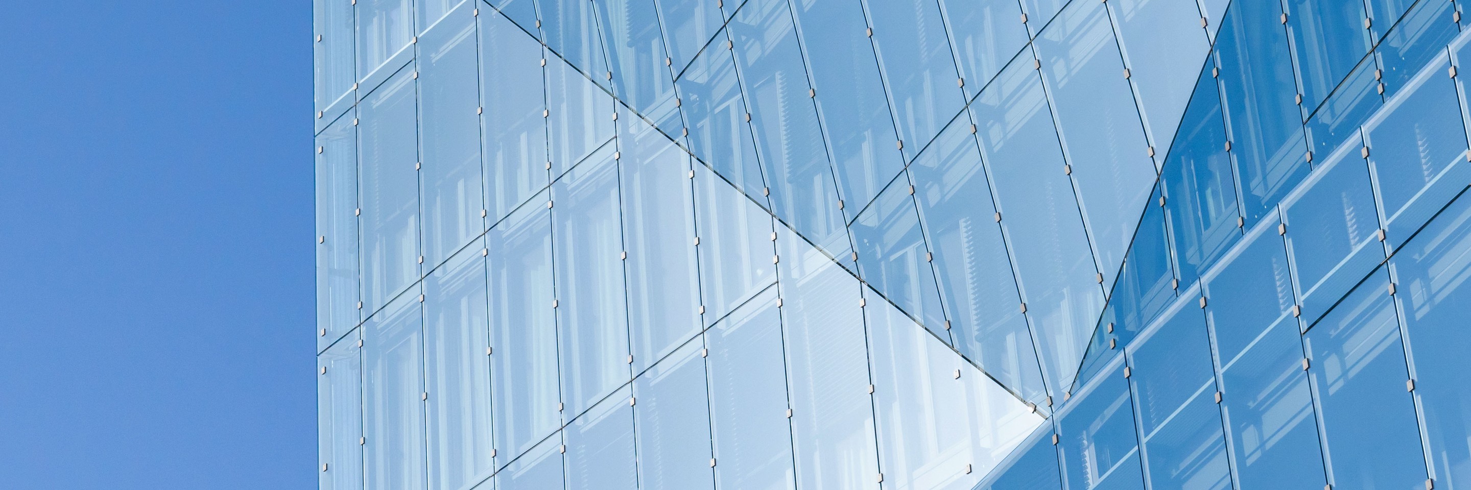 LGTCP-Header_006_Primaries_3