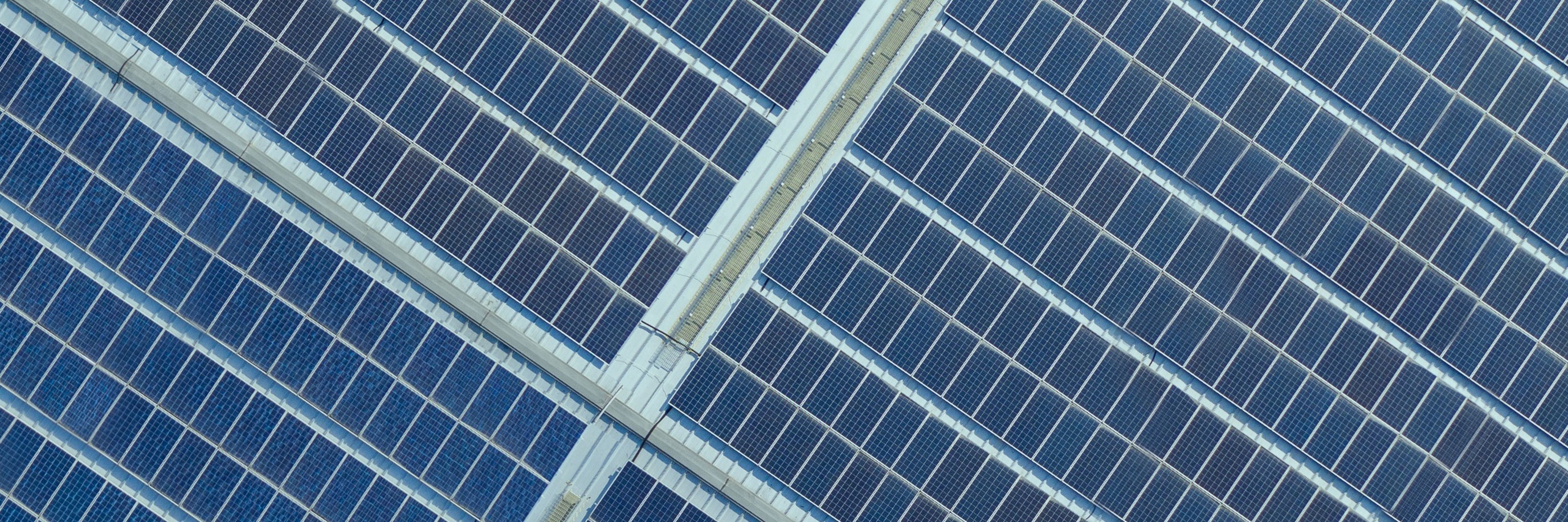 LGTCP Header Image - Sustainable Equity