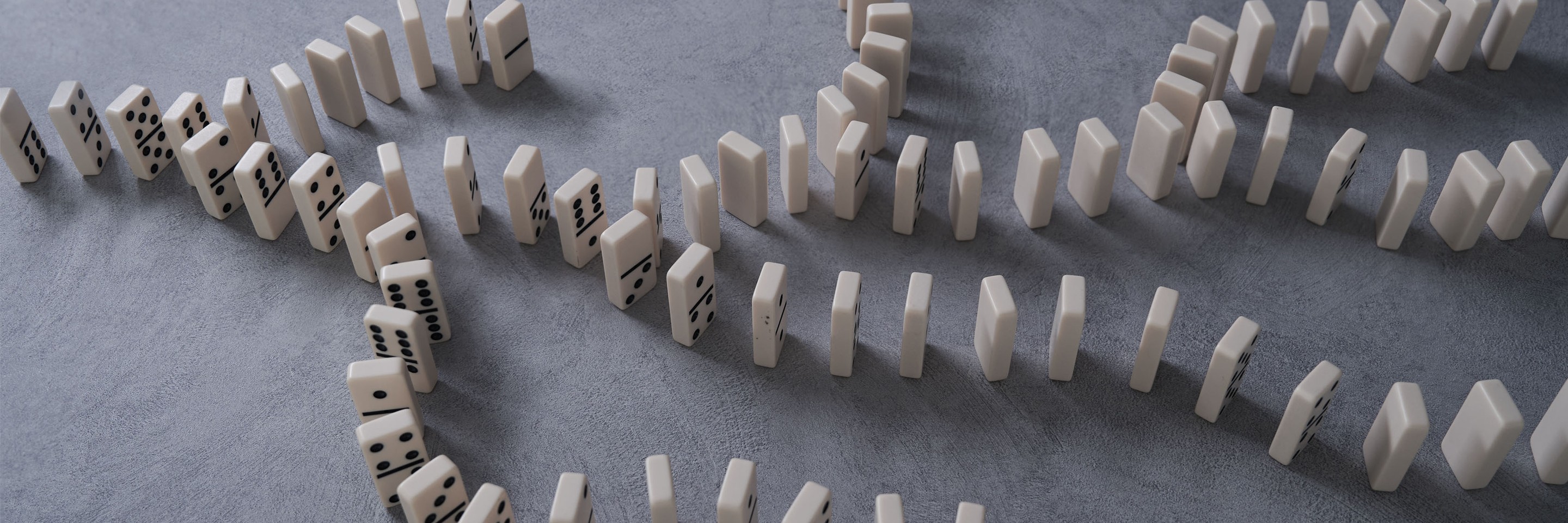 lgtcp_io25_header_domino_2.jpg