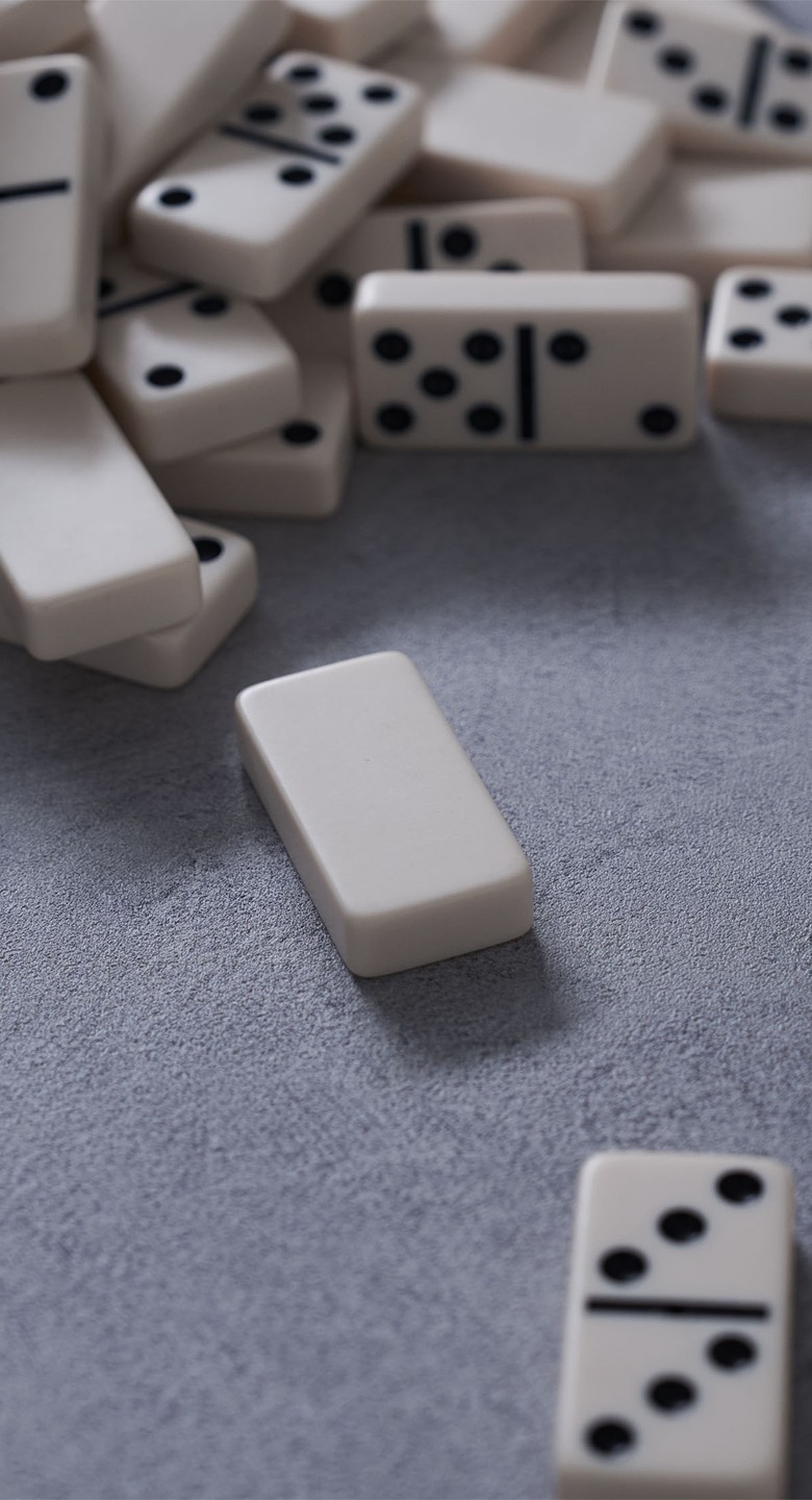 lgtcp_io25_header_domino_3.jpg