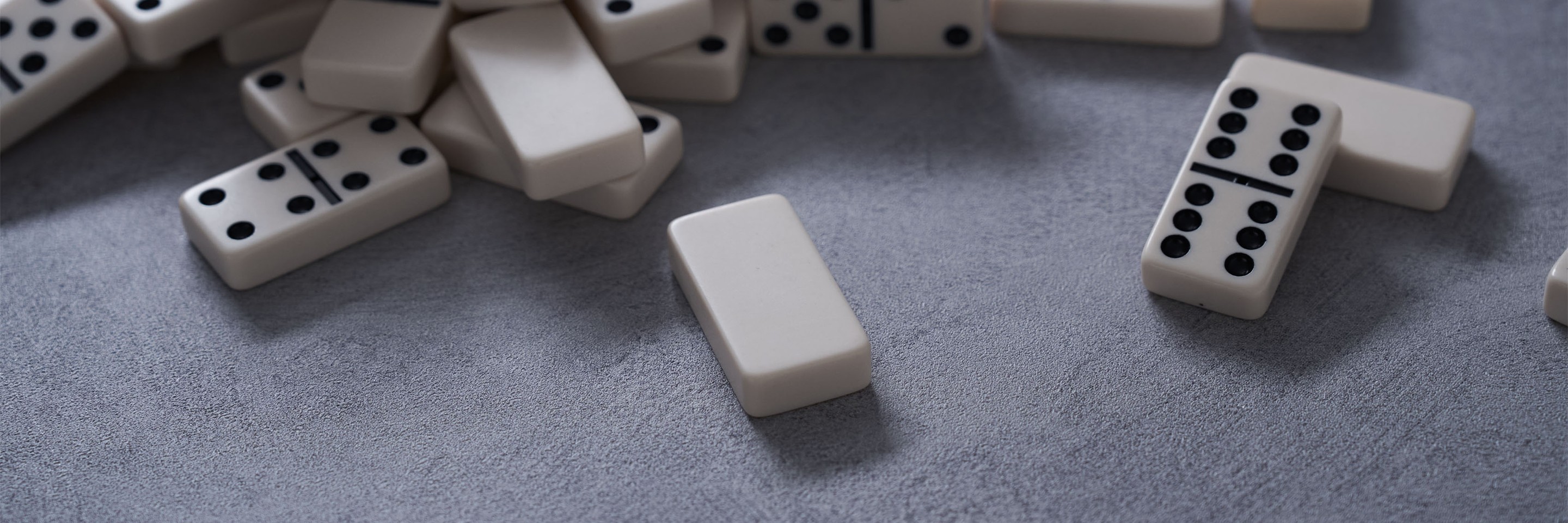 lgtcp_io25_header_domino_3.jpg