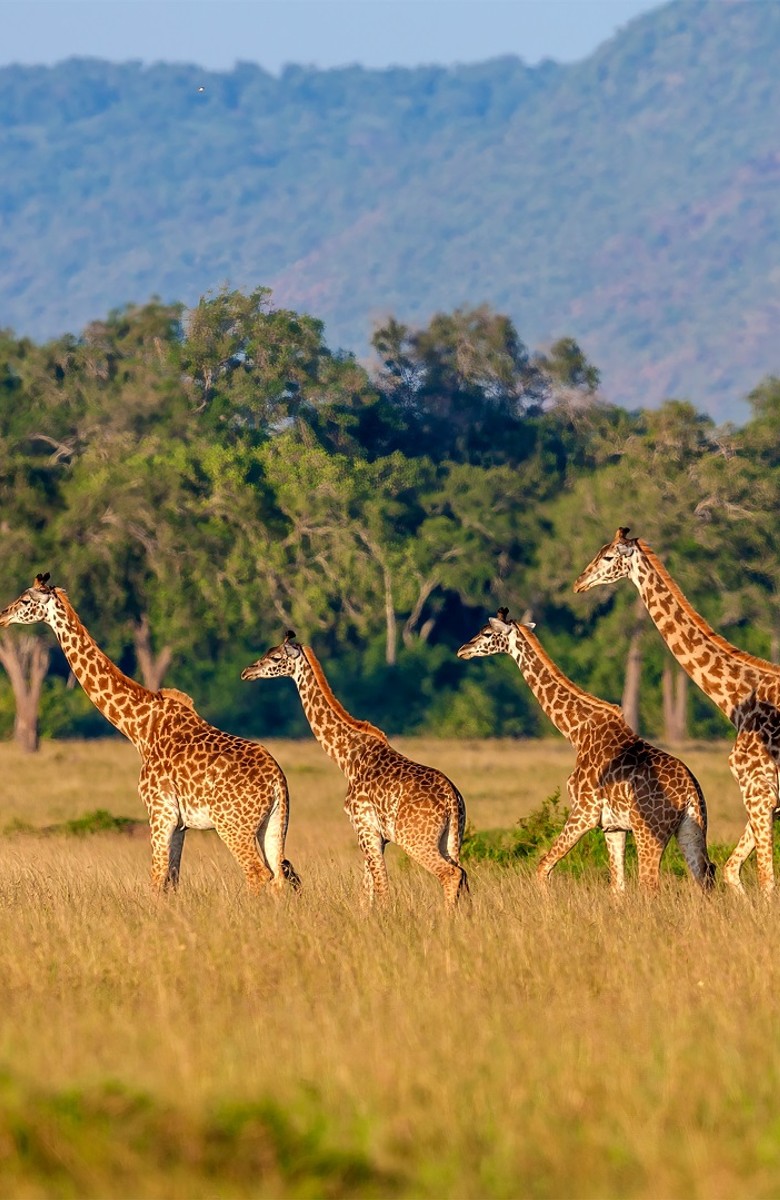 research_trip_-_kenya