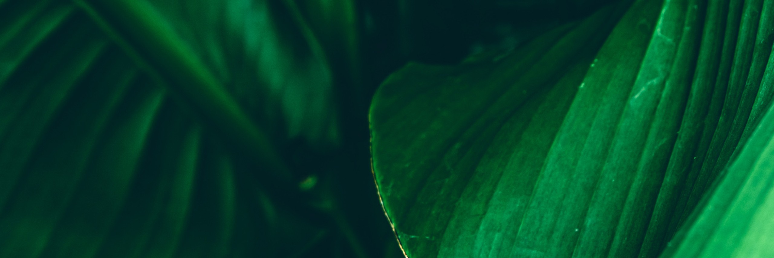 26_Header_esg_integration.jpg 