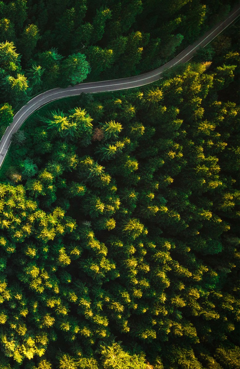 LGTCP Header Image - how we invest